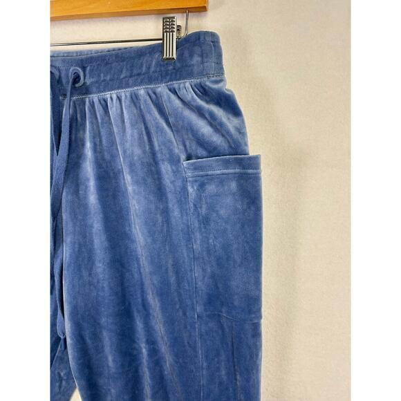 Woman's Offline By Aerie Blue After Party Velvet Velour Jogger Pants - Size M - Picture 4 of 8